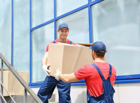Illustration representing essential cookie management for Eastsheen Storage
